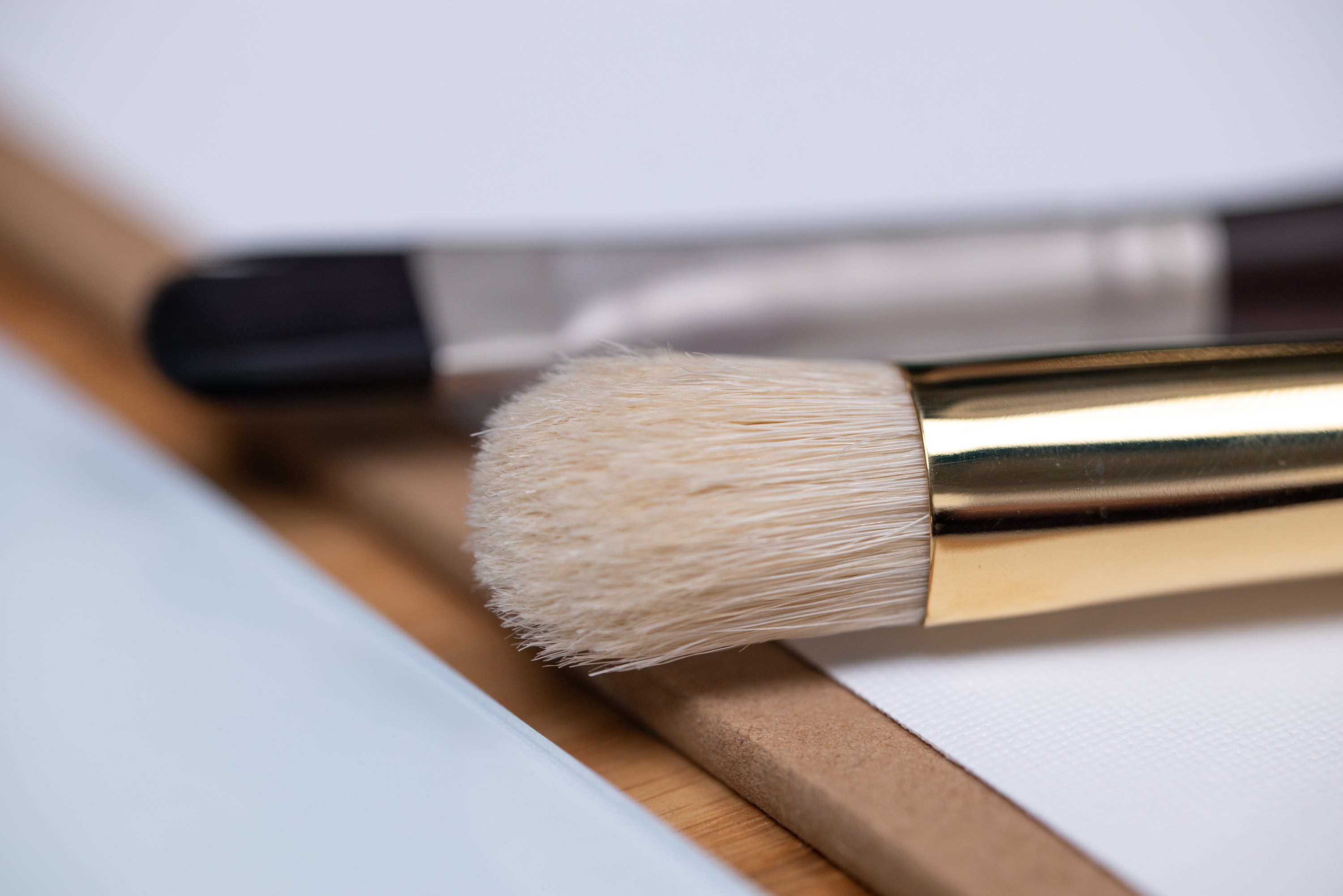 Raphaël D-Brushes for Oil and Acrylic