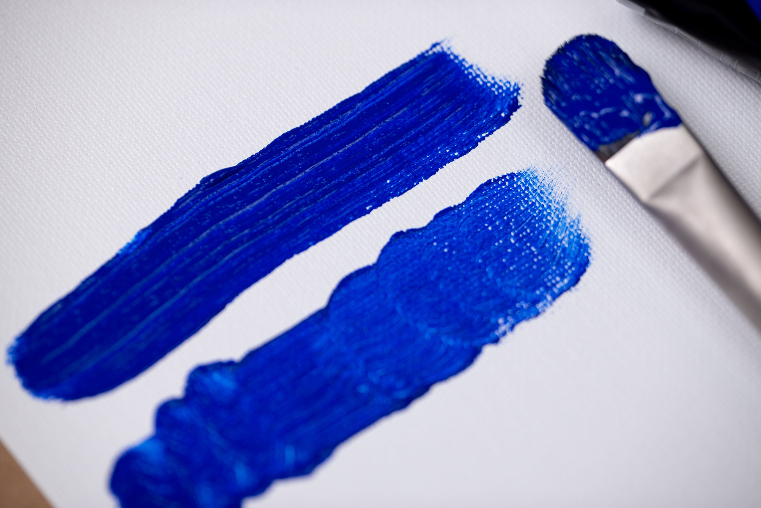 Raphaël D-Brushes for Oil and Acrylic