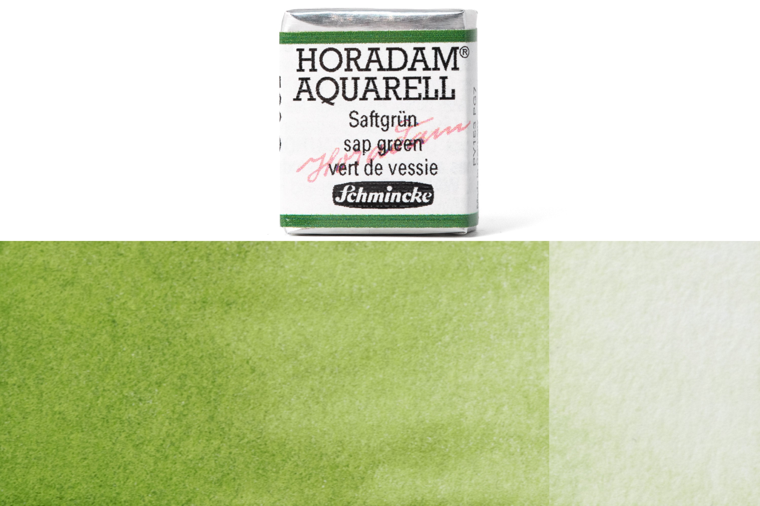 Schmincke - Horadam Watercolor Half Pan, #530 Sap Green - St. Louis Art Supply