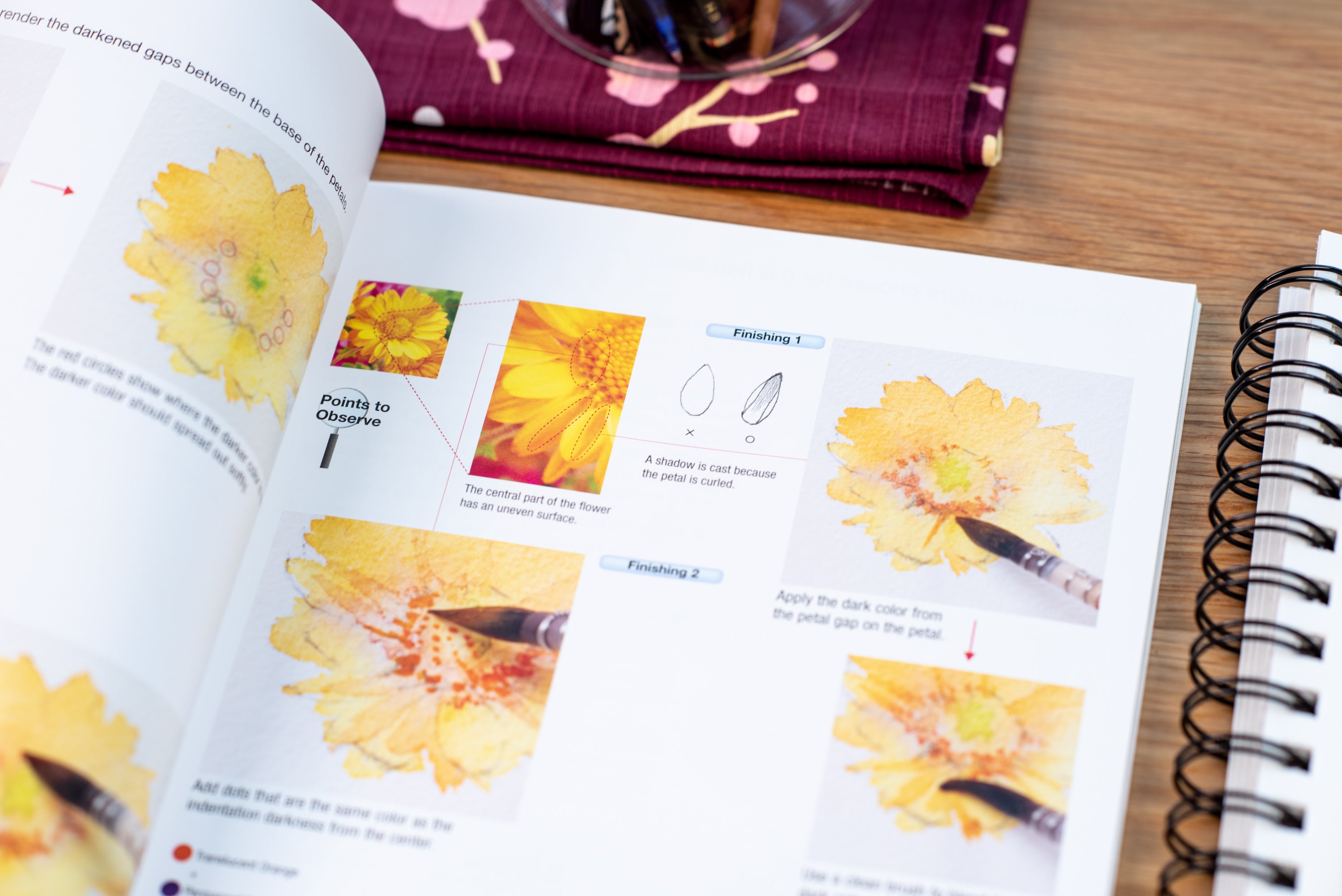 Nippan IPS - Lessons for Painting Flowers - St. Louis Art Supply