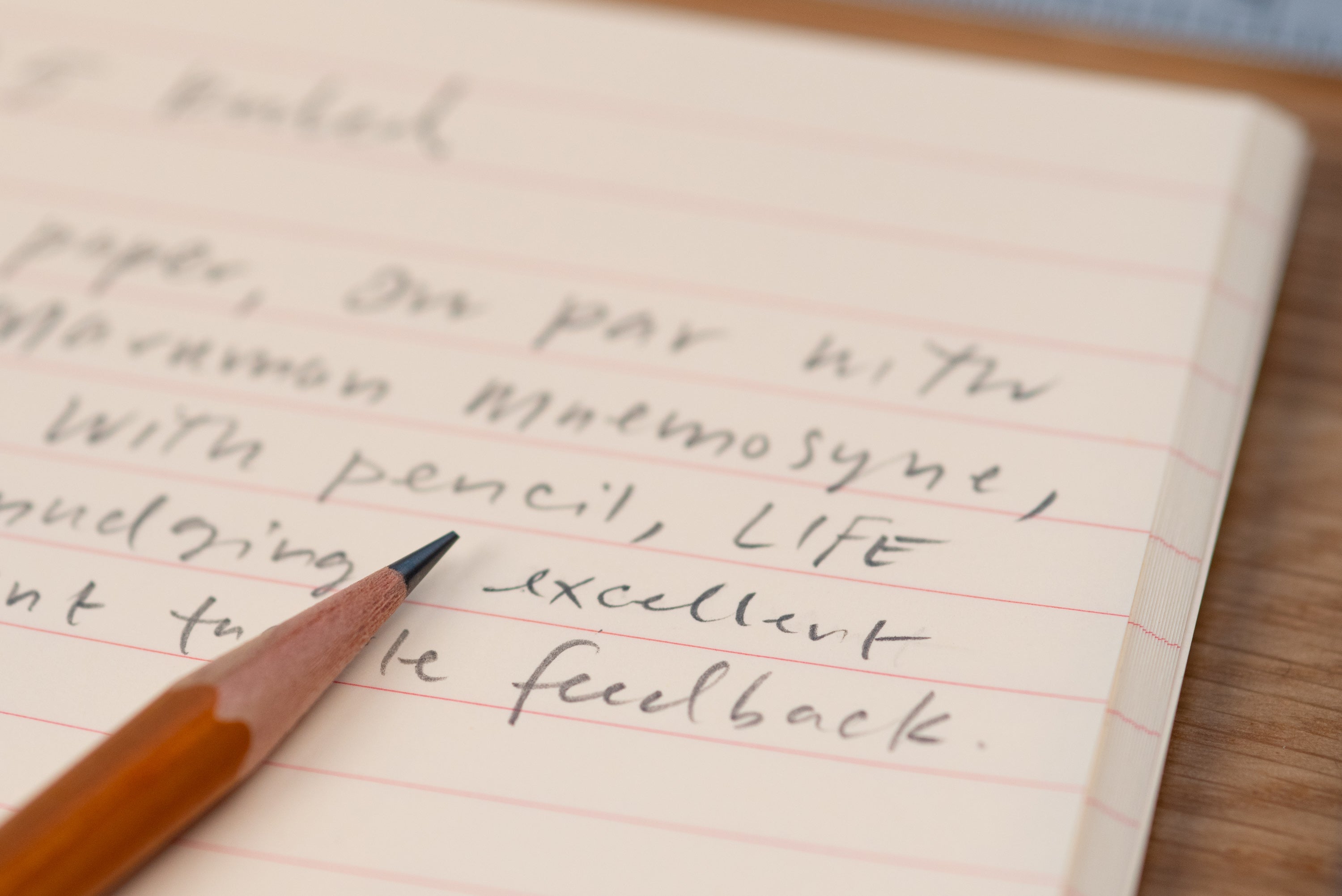 LIFE - Vermilion Notebook, A5, Ruled - St. Louis Art Supply