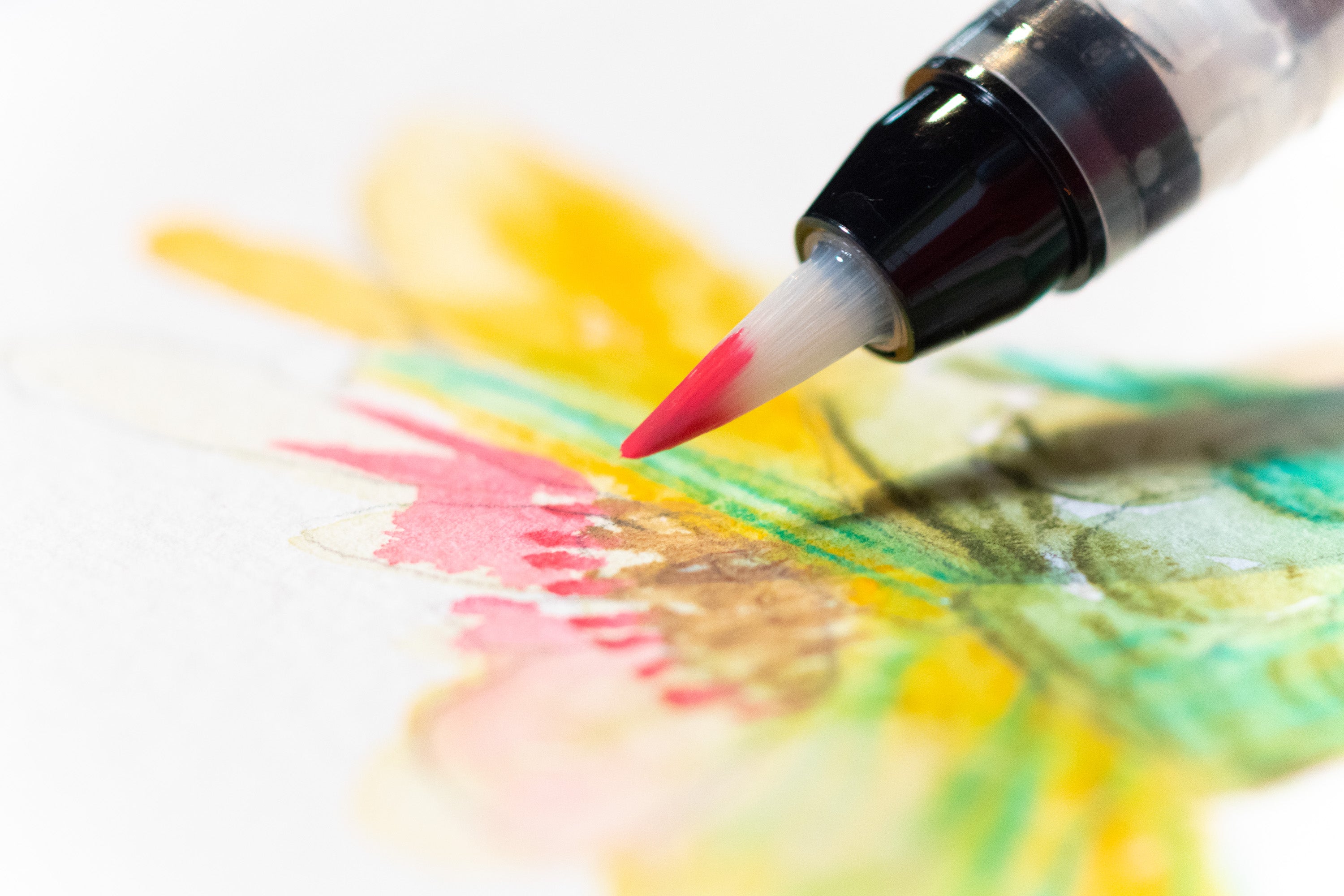 Mitsubishi Pencil Co. - Uni Watercolor Pencils, Botanical Pocket Set - St. Louis Art Supply