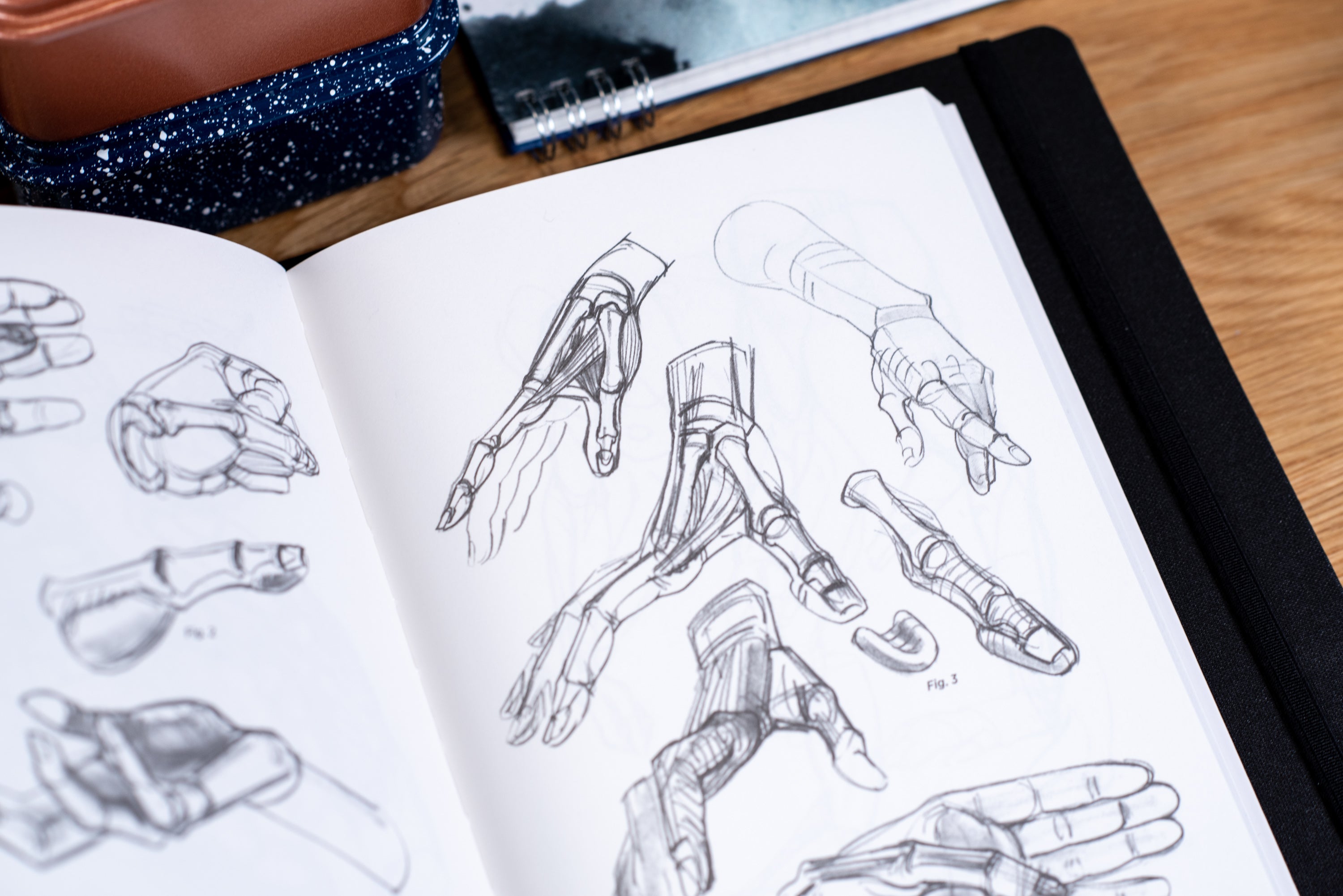 Morpho: Anatomy for Artists