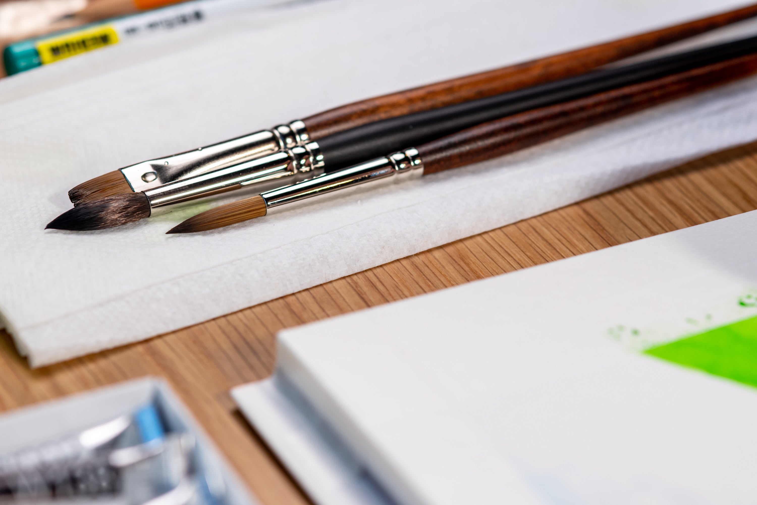 Raphaël - Precision Watercolor Brushes - St. Louis Art Supply