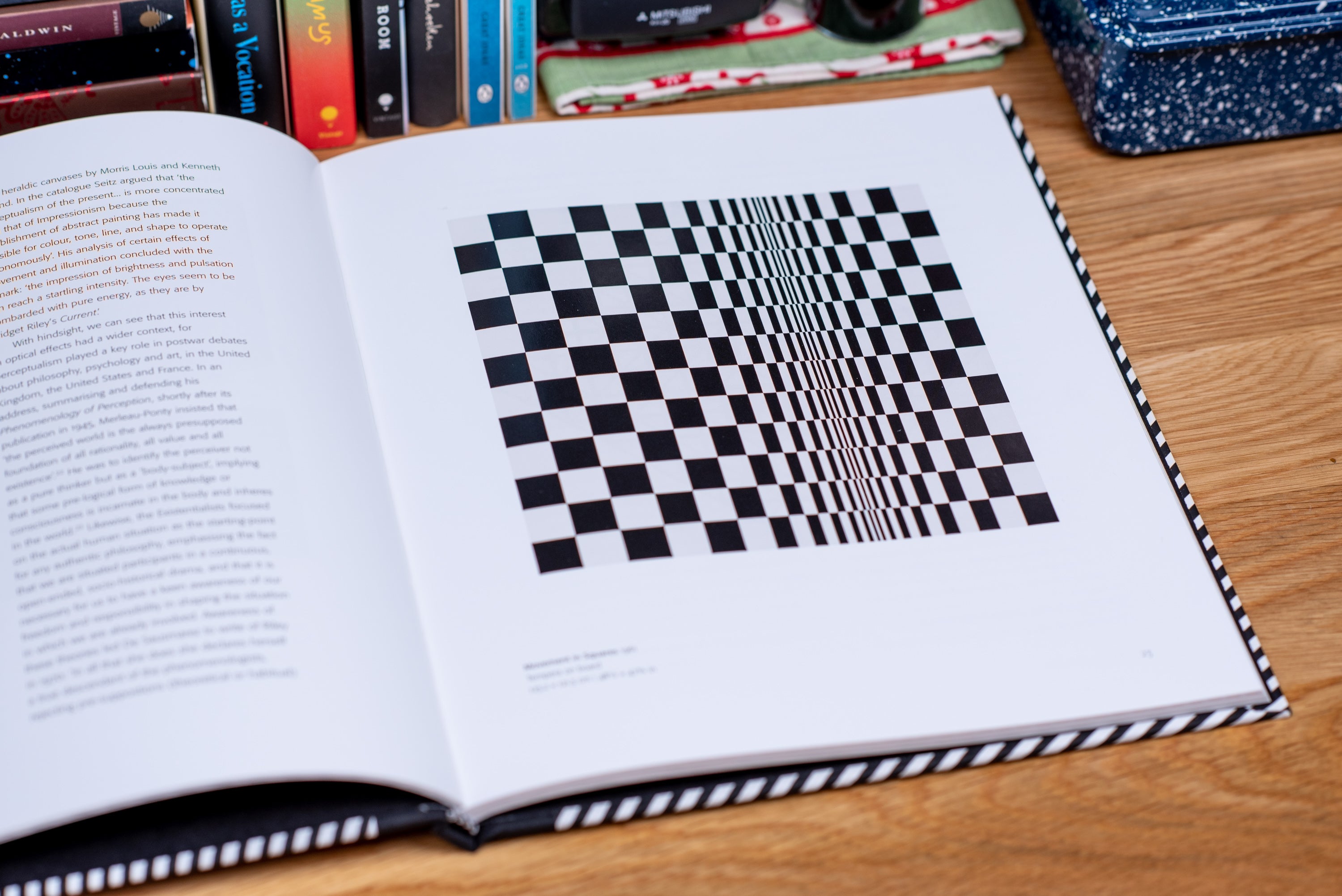 Bridget Riley: Paintings, 1963-2015