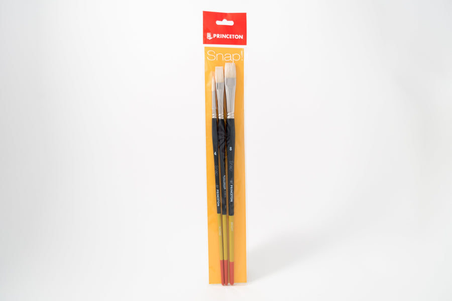 Snap bristle brushes - St. Louis Art Supply