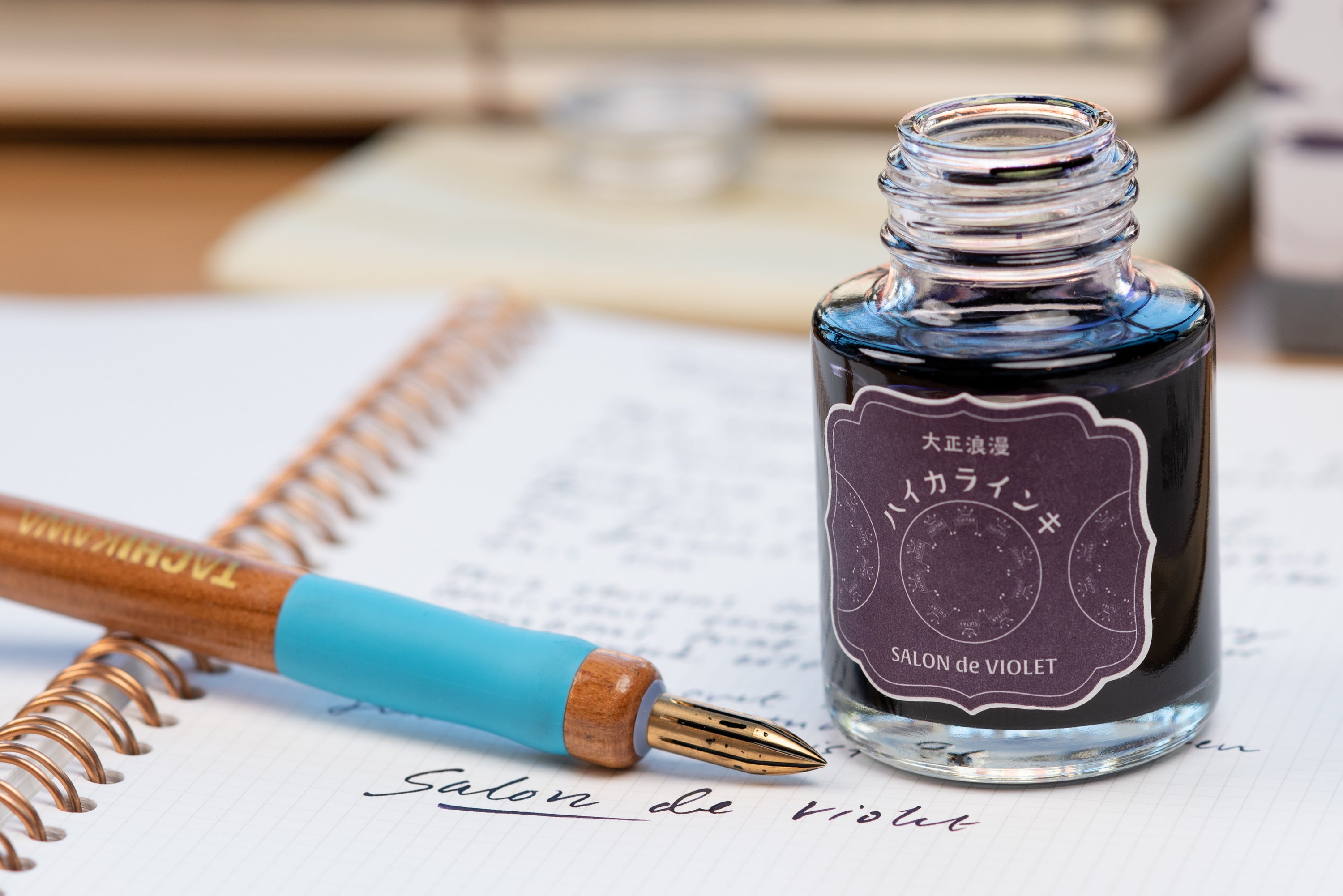 Teranishi - Taisho Roman Fountain Pen Ink, Salon de Violet - St. Louis Art Supply
