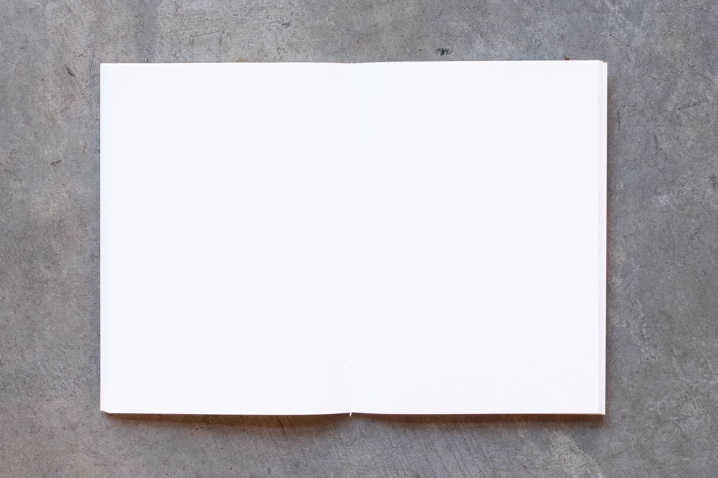 Traveler's Notebook Refill #005: Lightweight Paper, Passport Size - St. Louis Art Supply