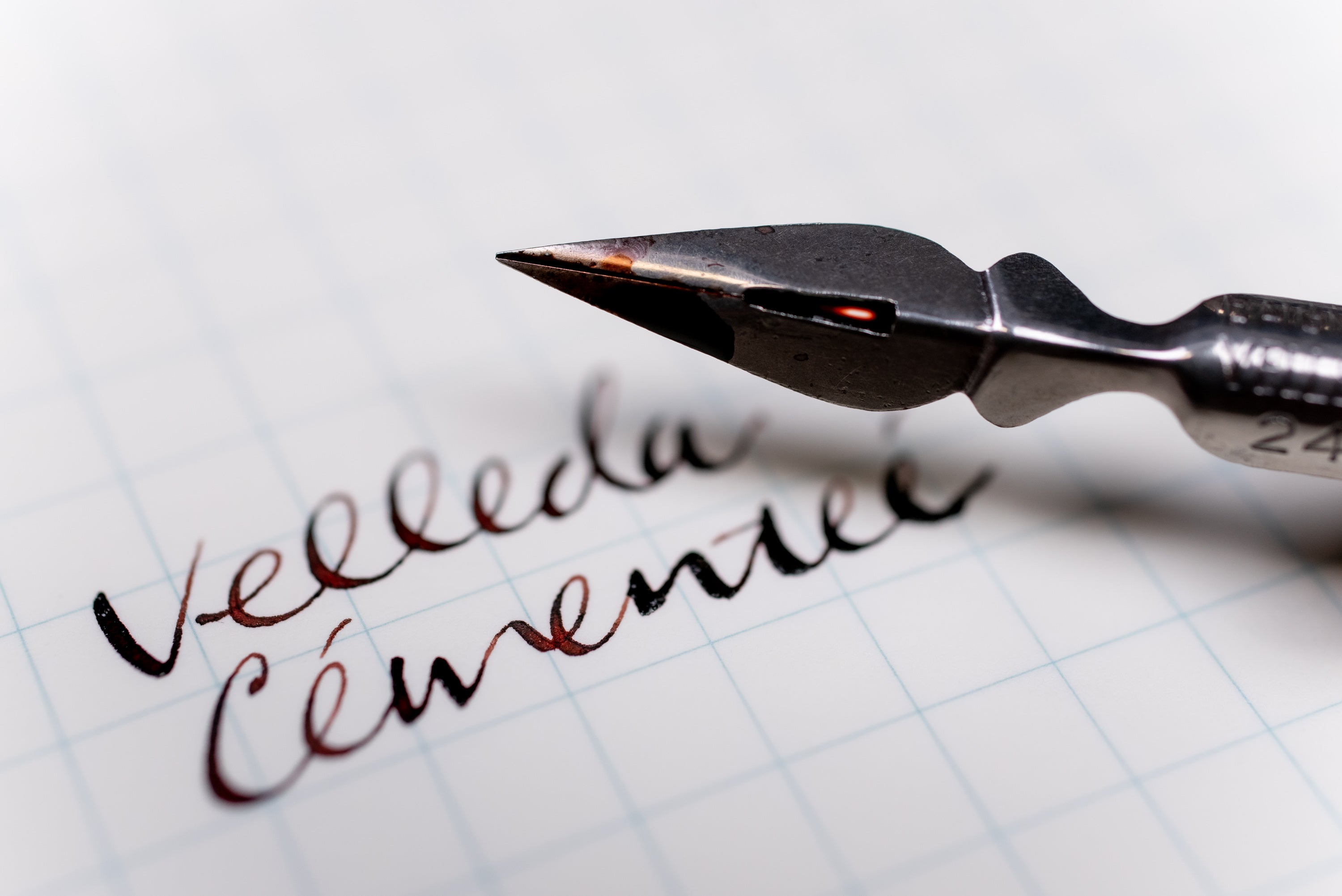 Baignol & Farjon 2436EF Velleda Cémenteé Pen Nib (Vintage)