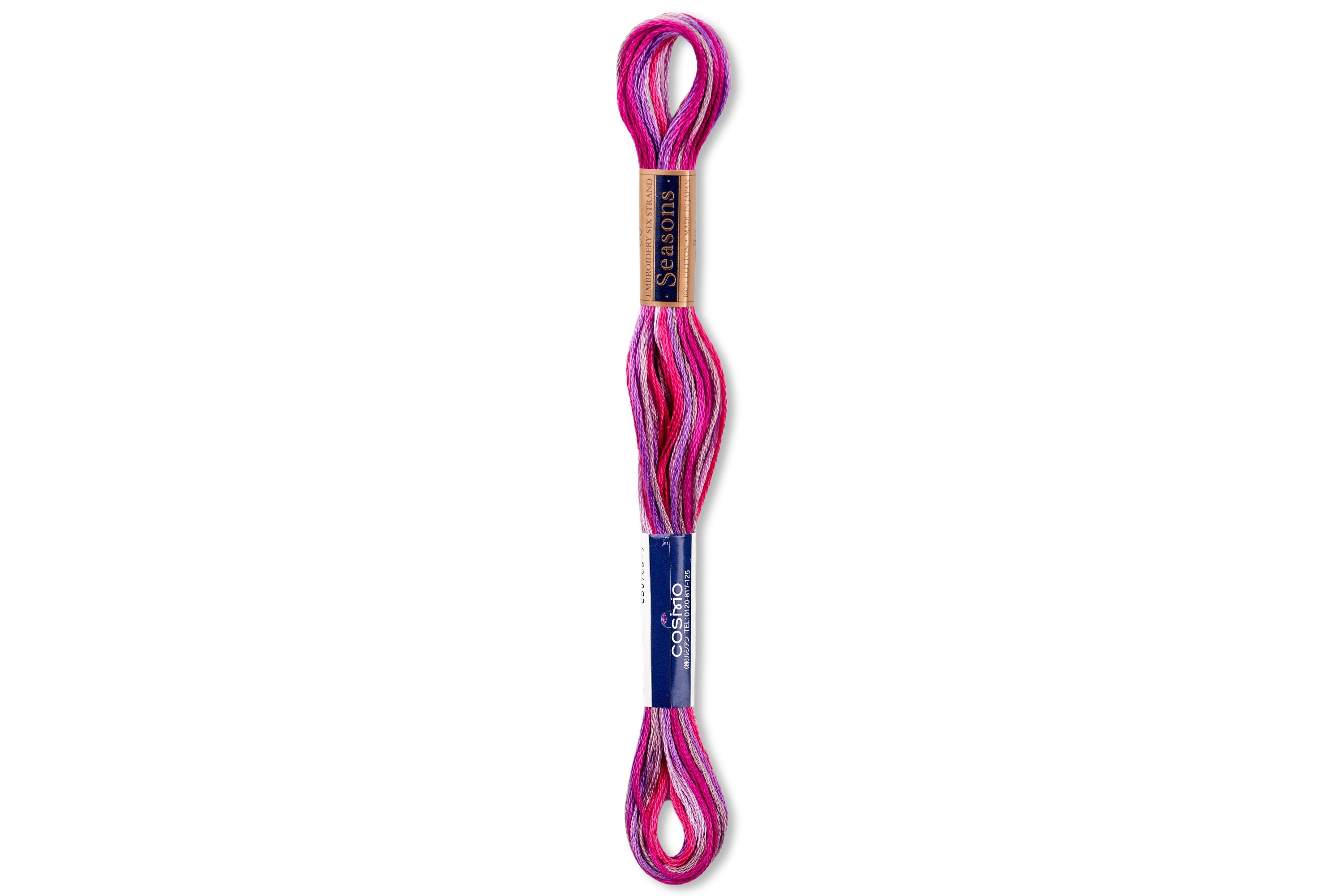 Cosmo Seasons Embroidery Floss, #5025 – St. Louis Art Supply