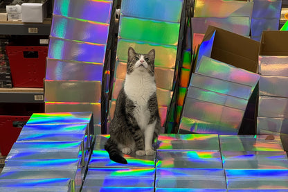 Mystery Box 2025: It's Shiny!