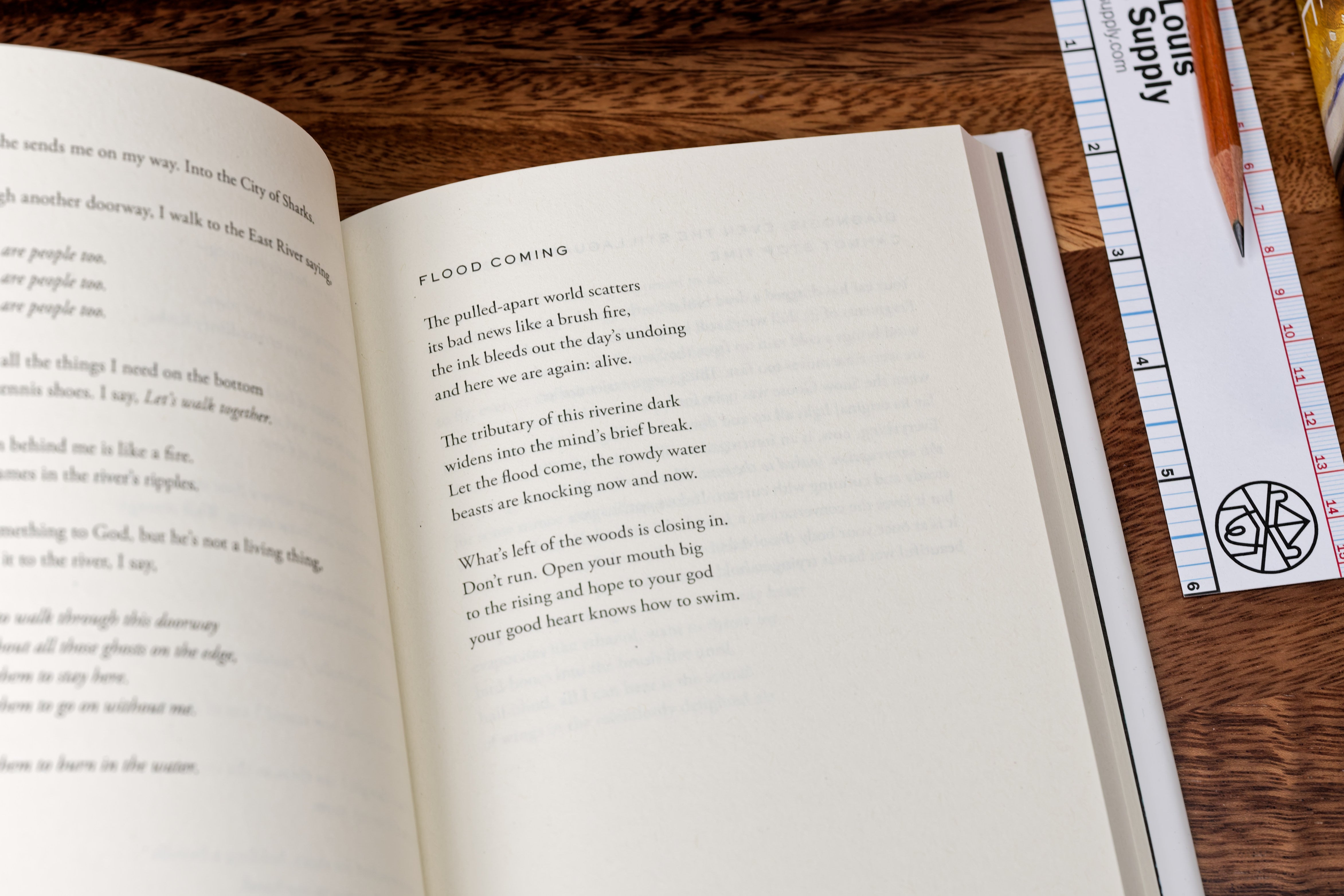 Startlement: New and Selected Poems