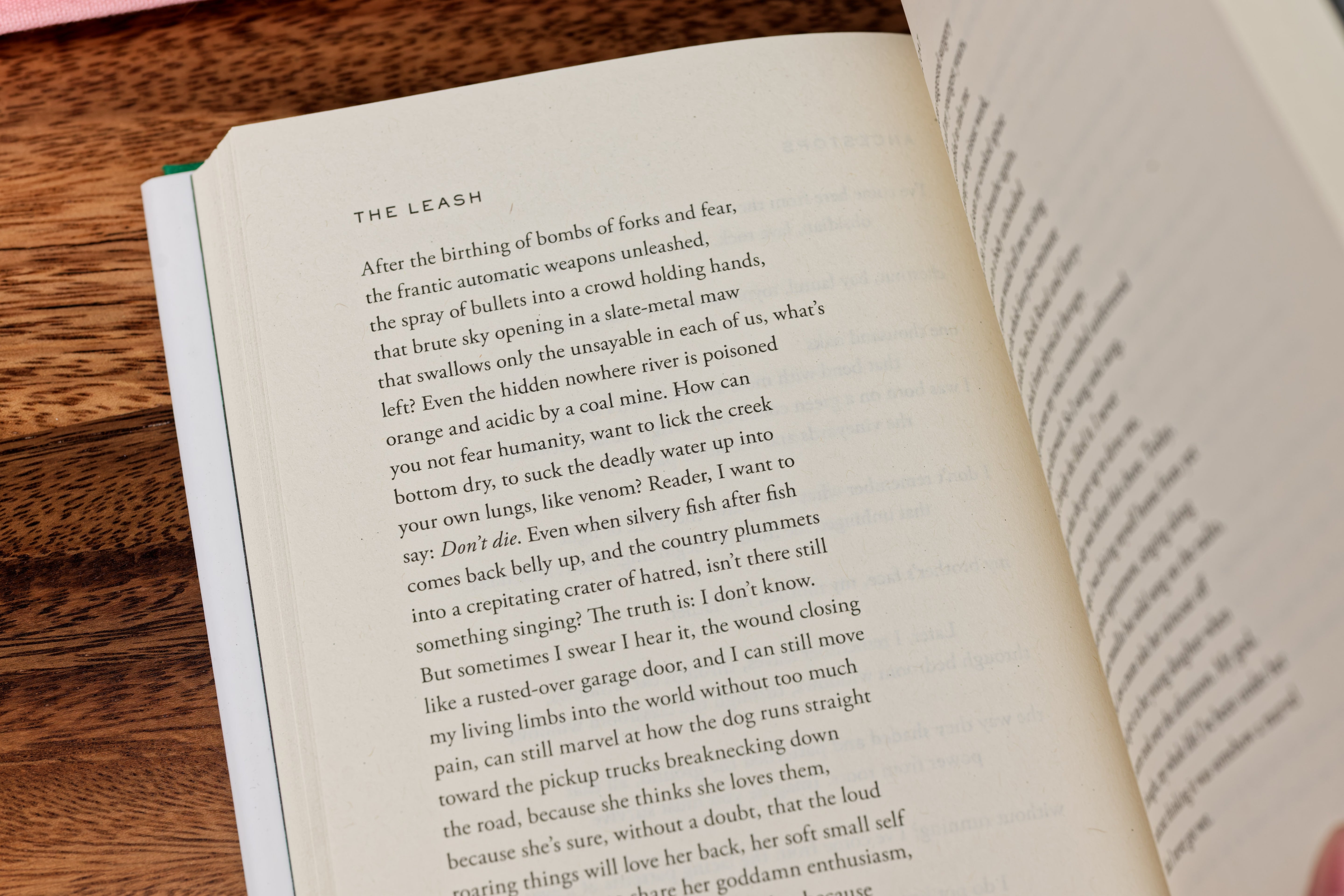 Startlement: New and Selected Poems