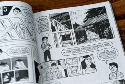 Understanding Comics