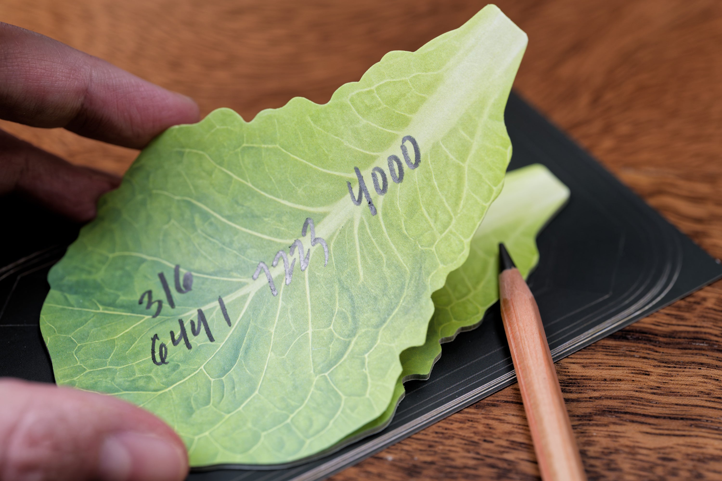B8 Mart Sticky Notes, Fresh Fish