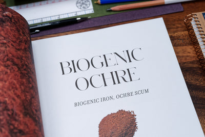 Book of Earth