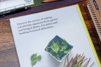 From Plant to Pigment