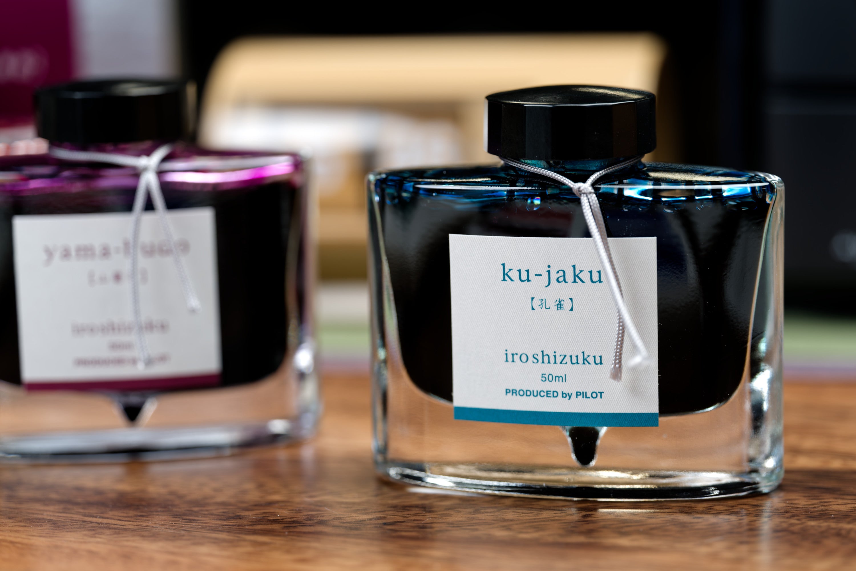 Pilot Iroshizuku Fountain Pen Ink, 50 mL, <fuyu-gaki>