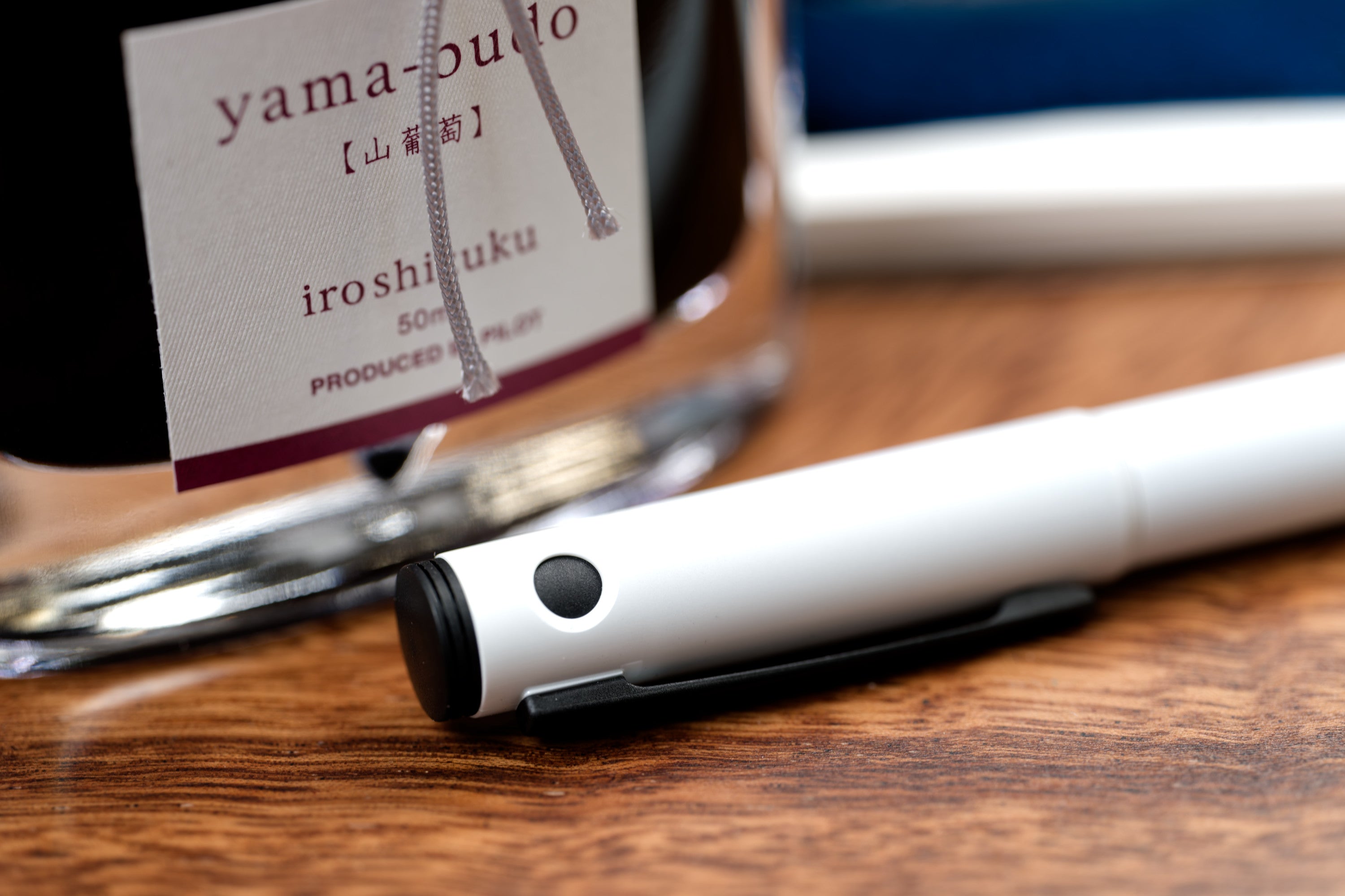 Pilot Explorer Fountain Pen, Gloss White