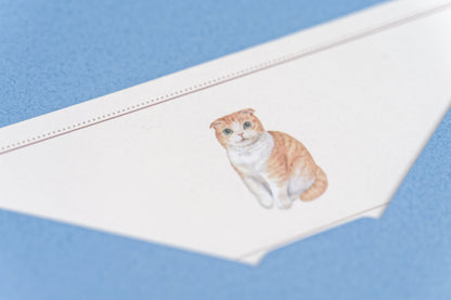 Scottish Fold Letter Set