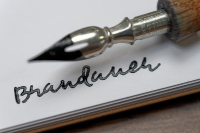 Brandauer #531 Times Pen Nib (Vintage)