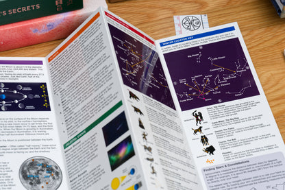 Pocket Naturalist: The Night Sky