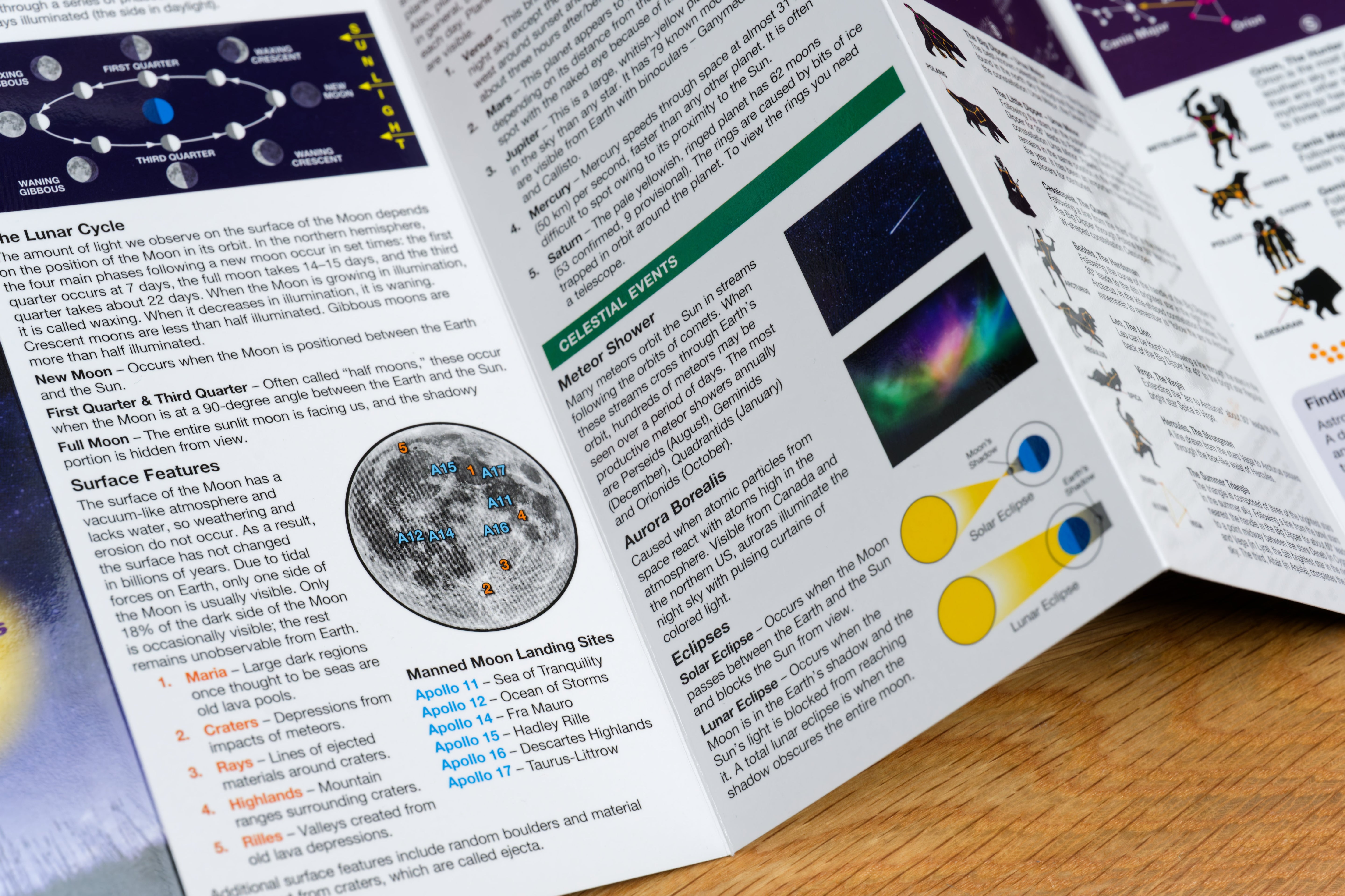 Pocket Naturalist: The Night Sky