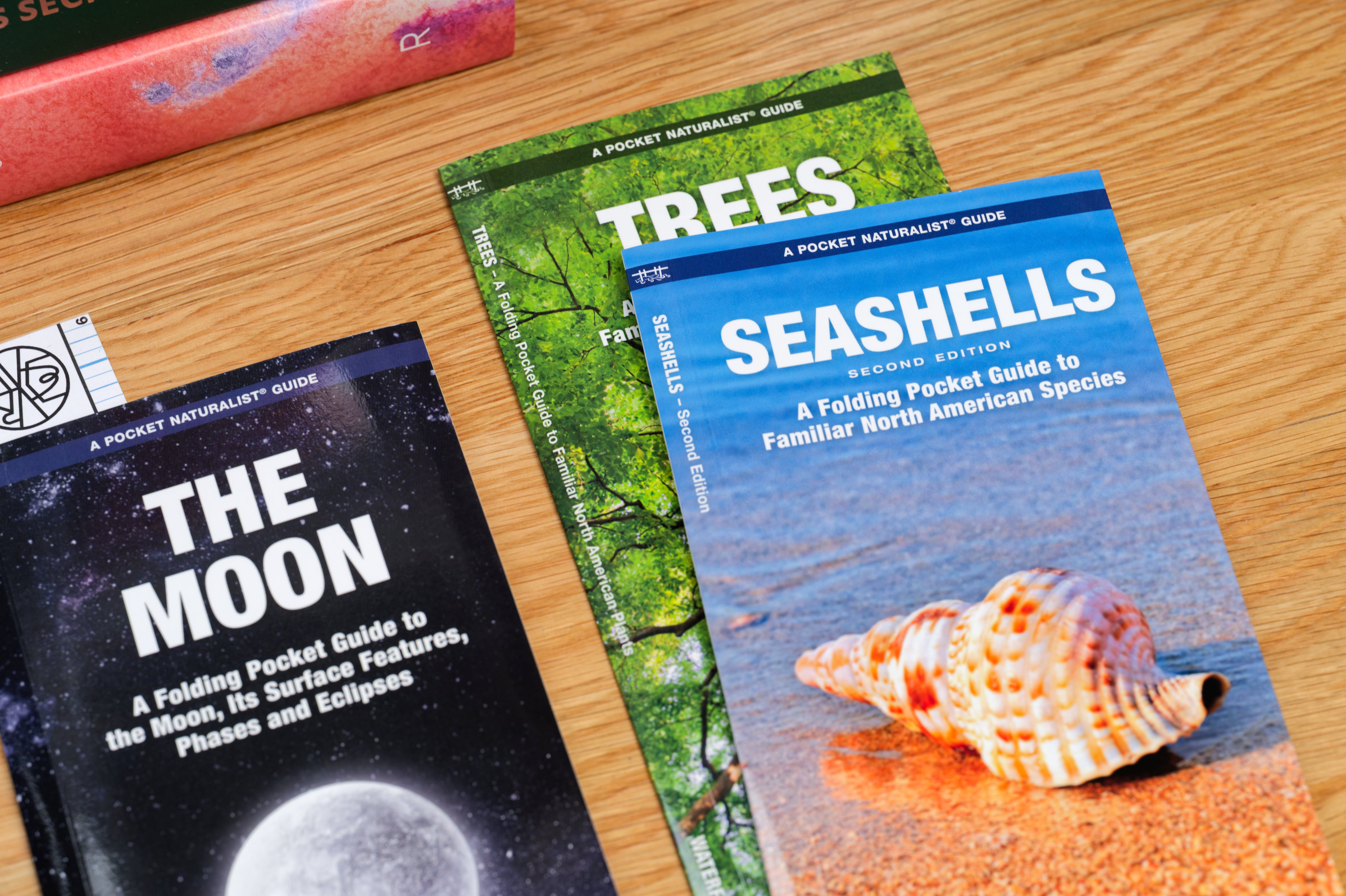 Pocket Naturalist: Seashells