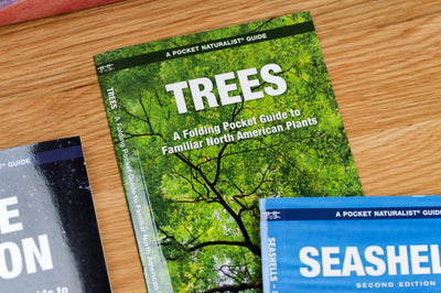 Pocket Naturalist: Trees