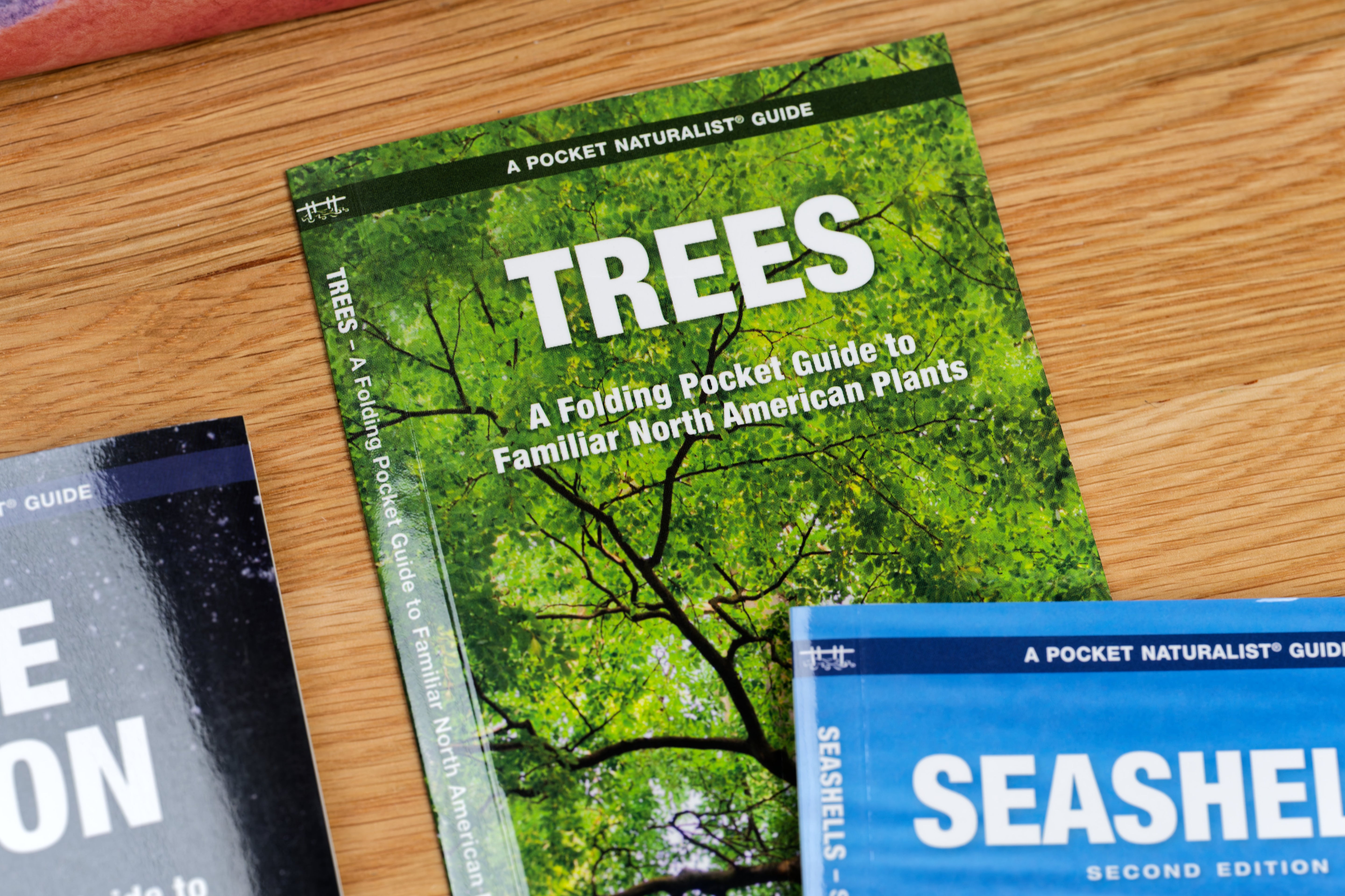 Pocket Naturalist: Trees