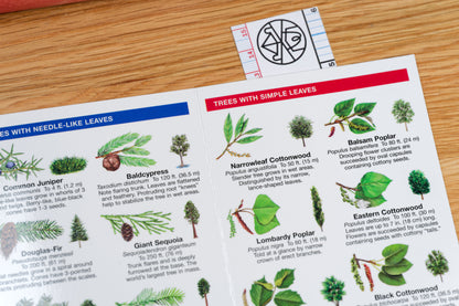 Pocket Naturalist: Trees