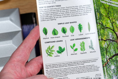 Pocket Naturalist: Trees