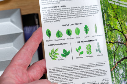 Pocket Naturalist: Trees