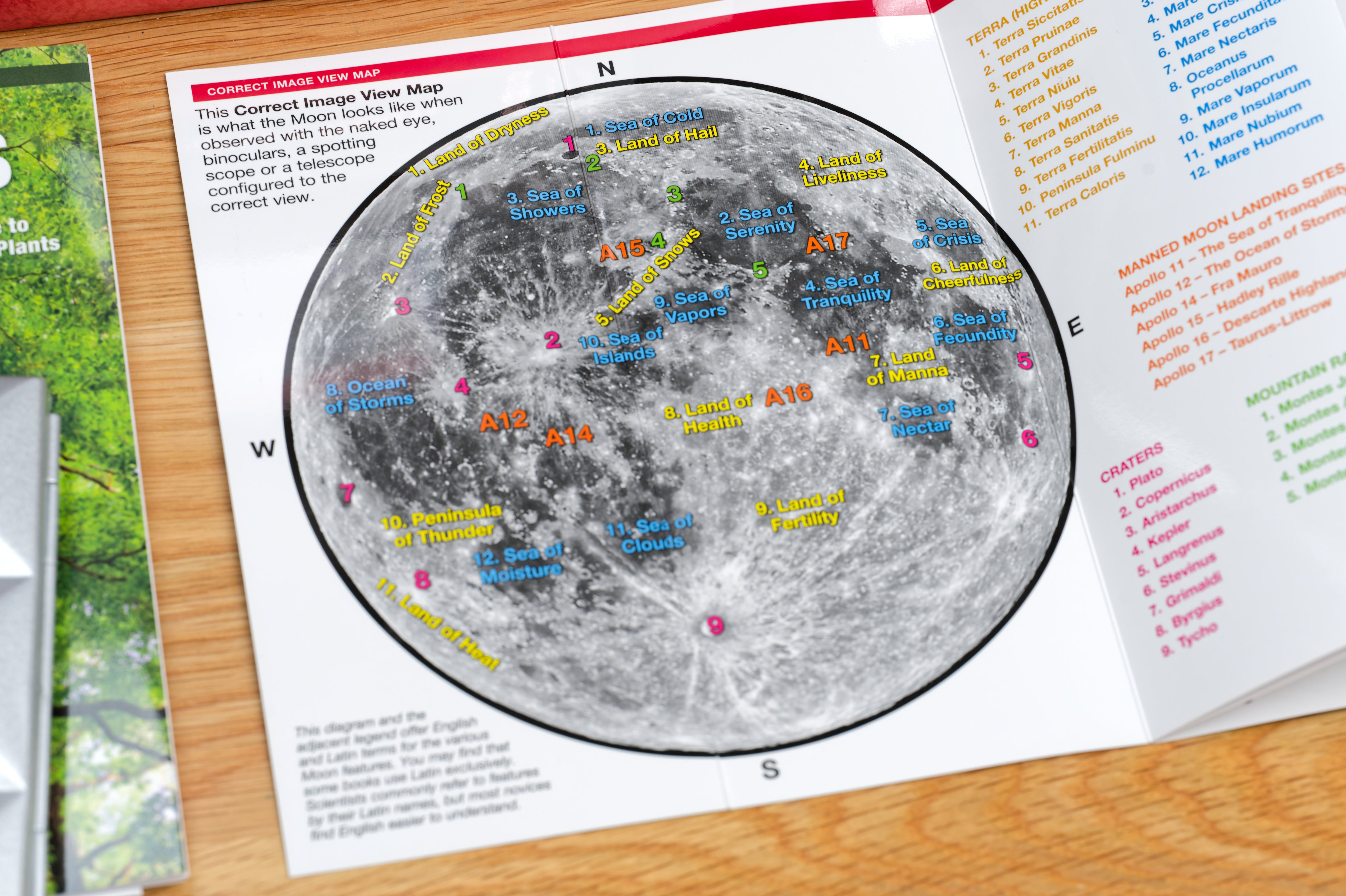 Pocket Naturalist: The Moon