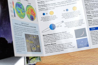 Pocket Naturalist: The Moon