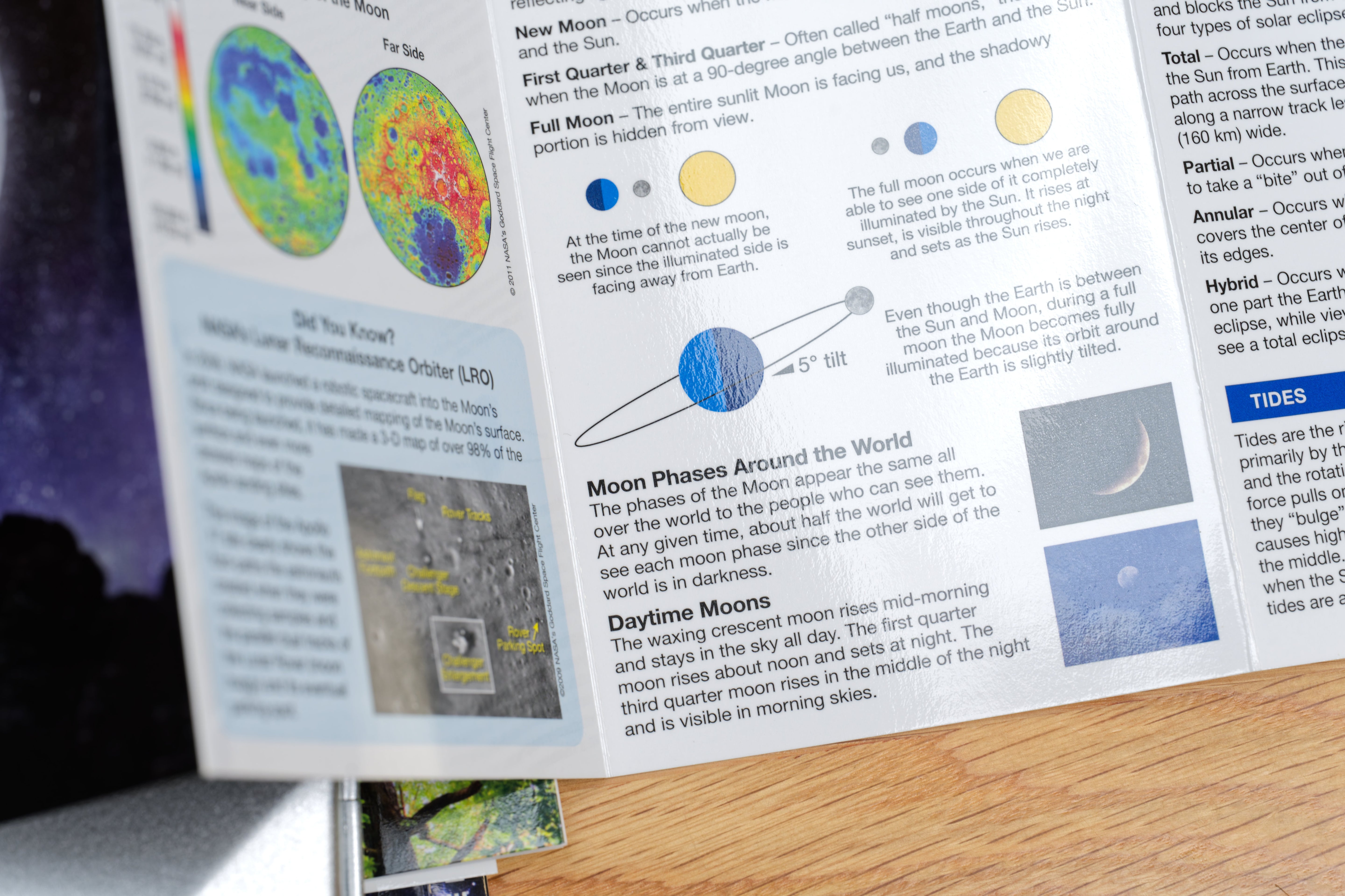 Pocket Naturalist: The Moon