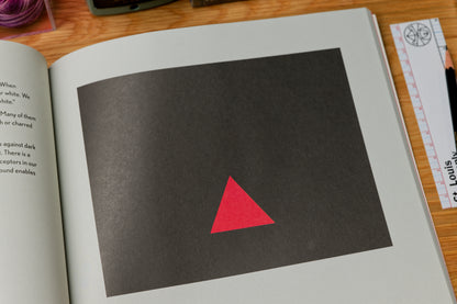 Picture This: How Pictures Work