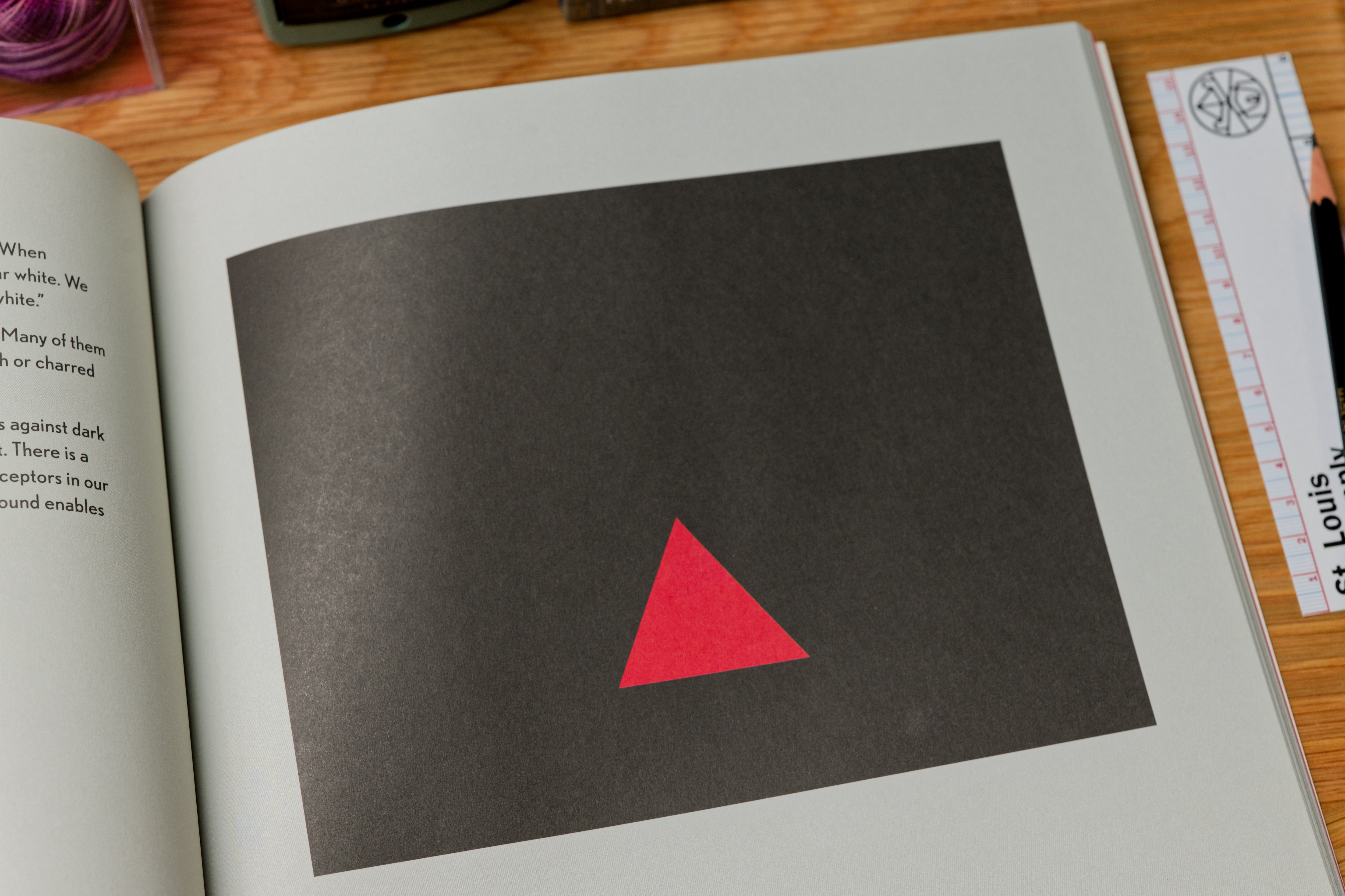 Picture This: How Pictures Work