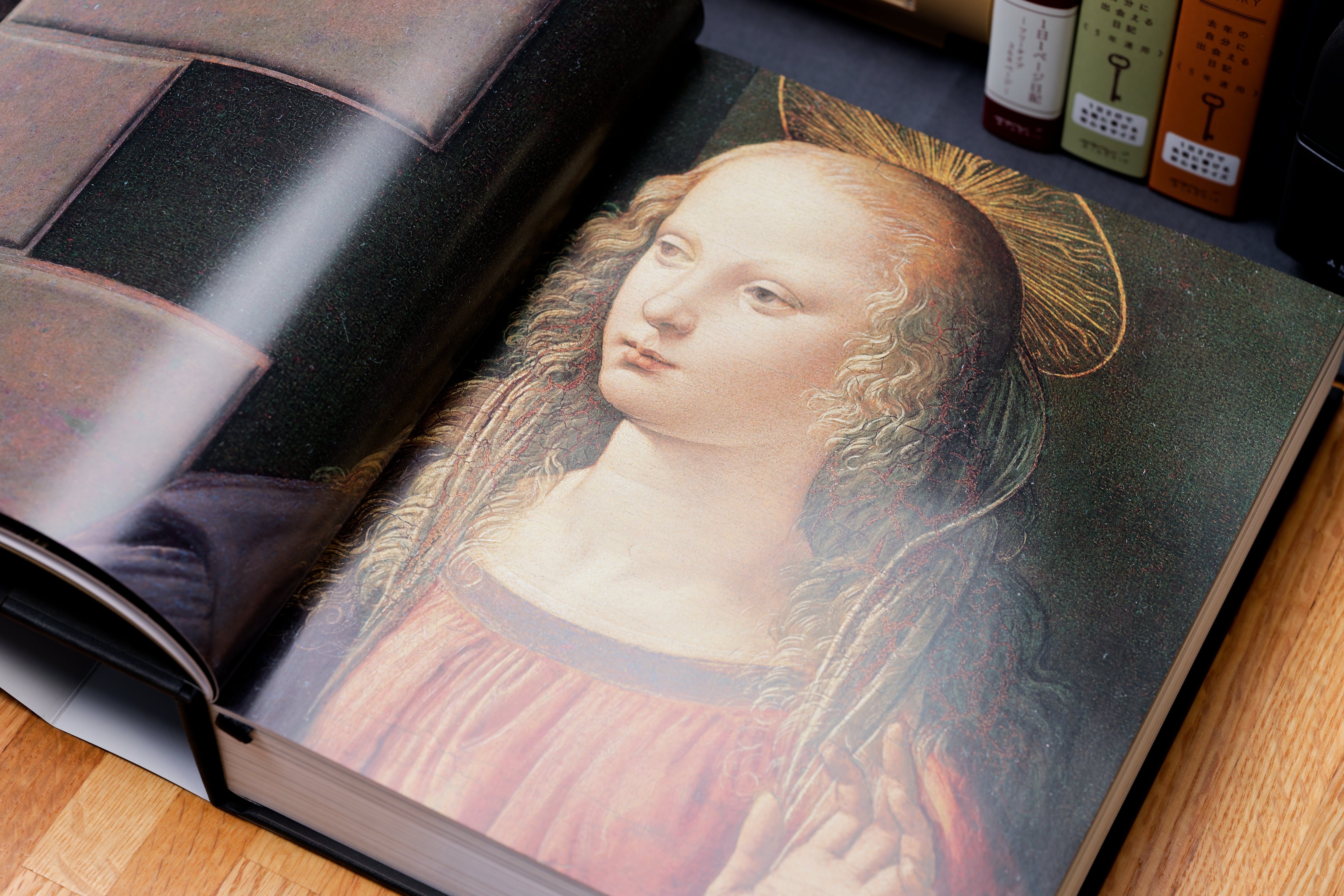 Leonardo: The Complete Paintings and Drawings