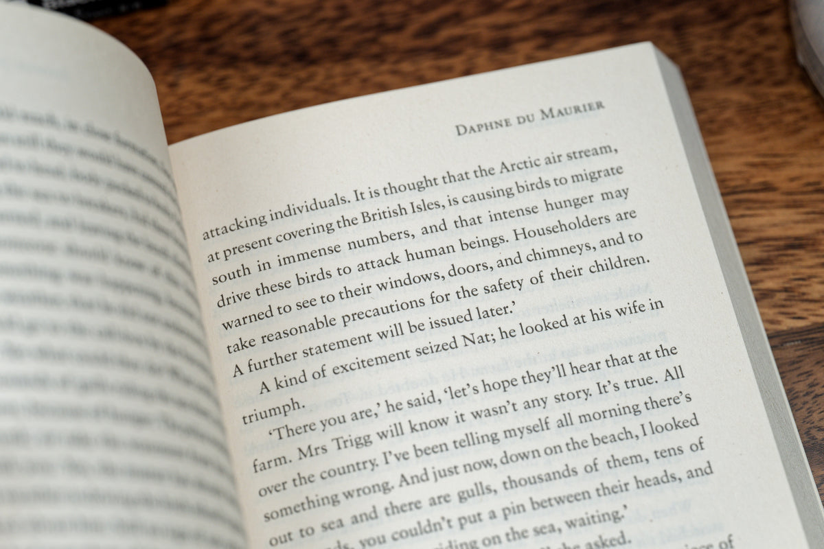 A Different Sound: Stories by Mid-Century Women Writers