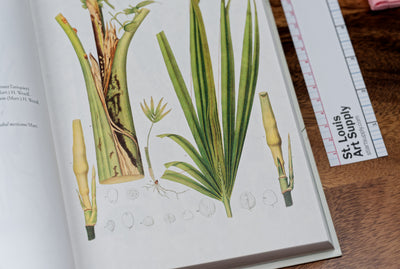 Book of Palms