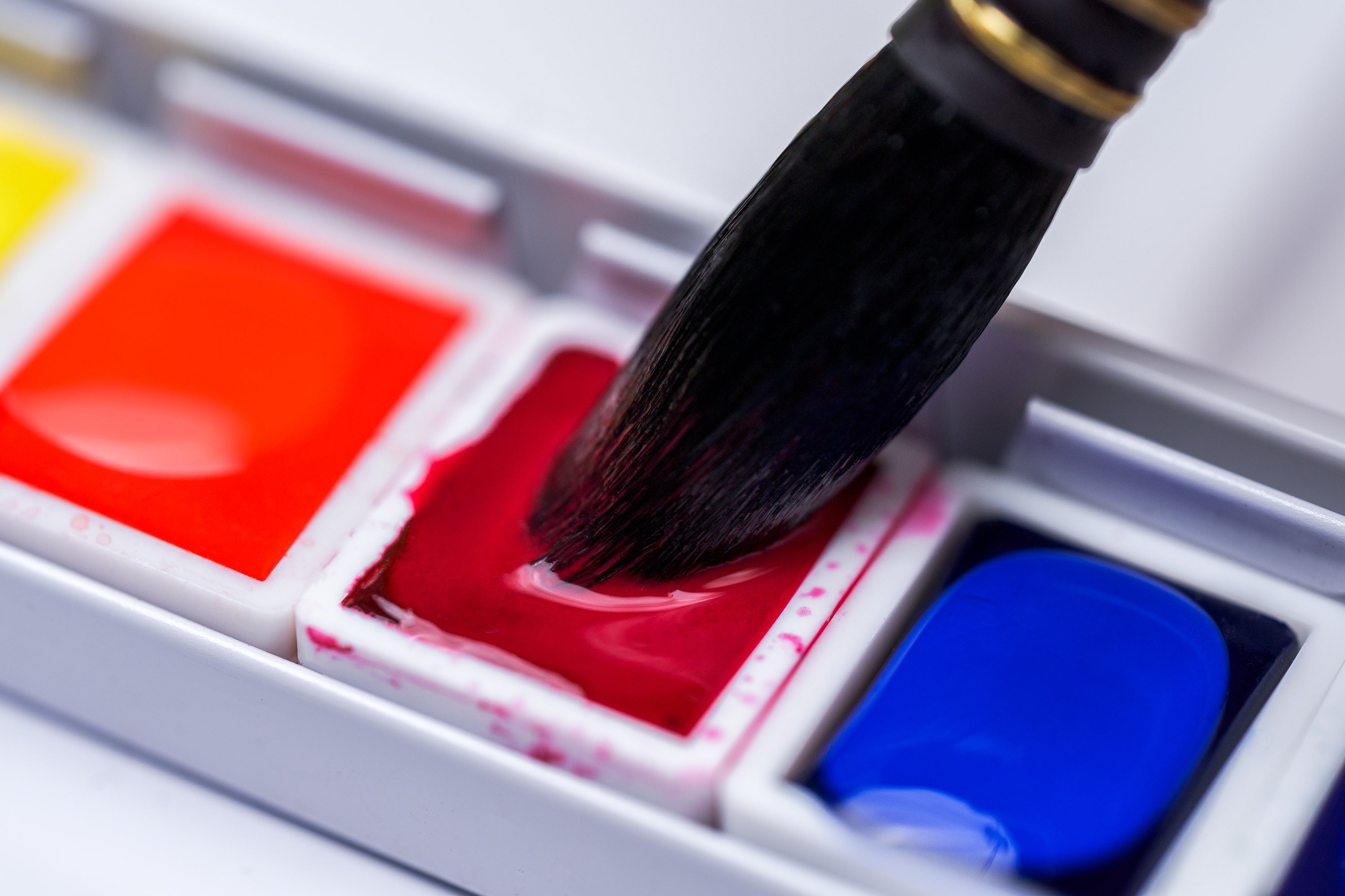 Akademie Aquarell, White Box 2025