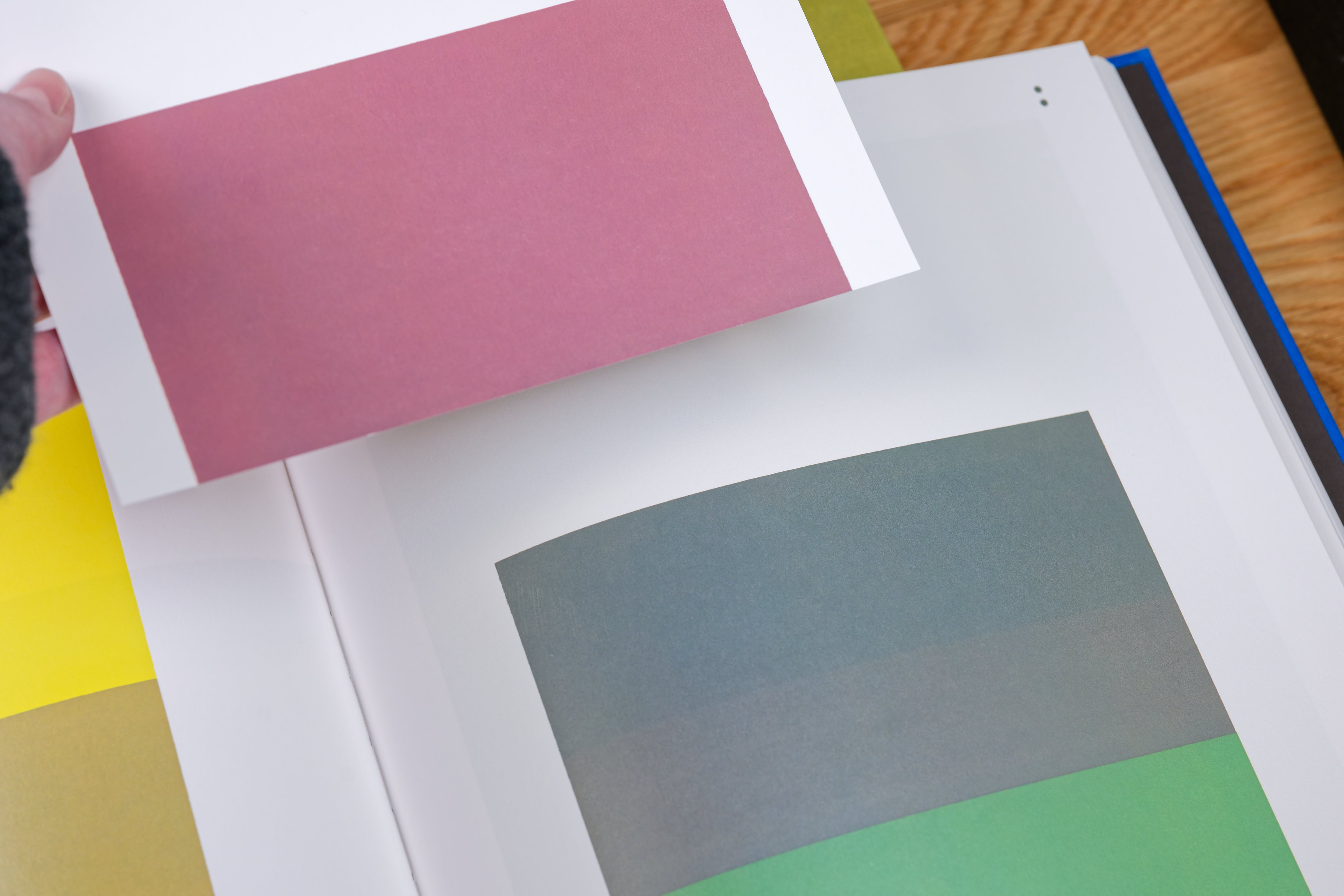 Interaction of Color: New Complete Edition