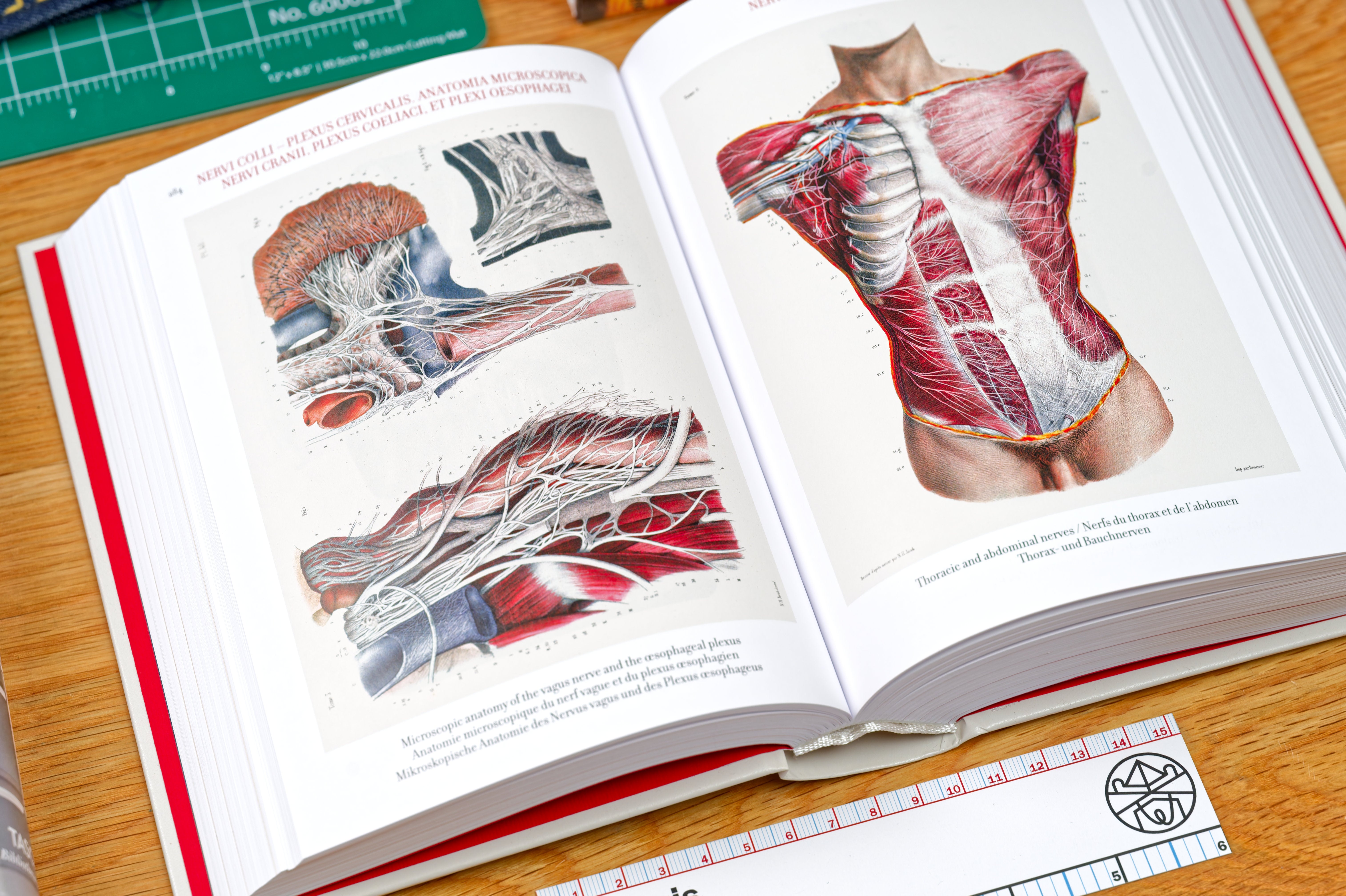Atlas of Human Anatomy and Surgery (Bibliotheca Universalis) – St