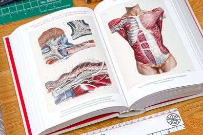 Atlas of Human Anatomy and Surgery (Bibliotheca Universalis)