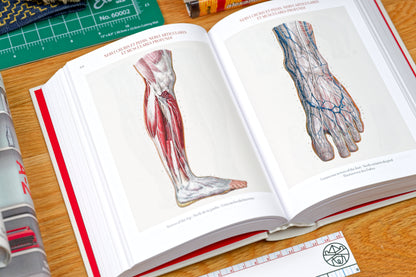 Atlas of Human Anatomy and Surgery (Bibliotheca Universalis)