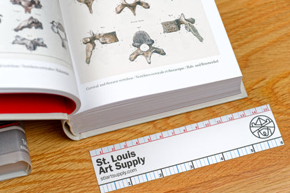 Atlas of Human Anatomy and Surgery (Bibliotheca Universalis)