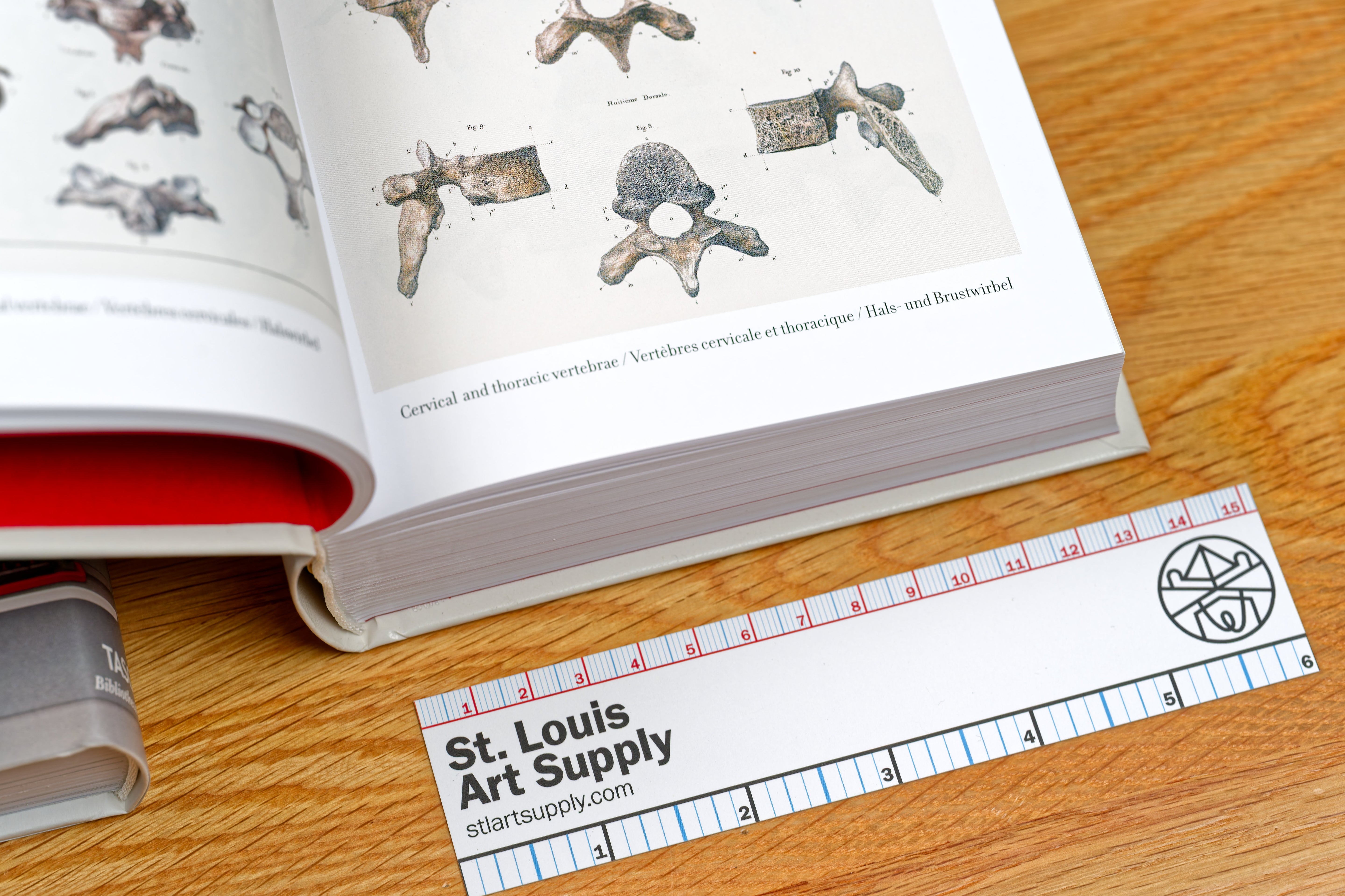 Atlas of Human Anatomy and Surgery (Bibliotheca Universalis)