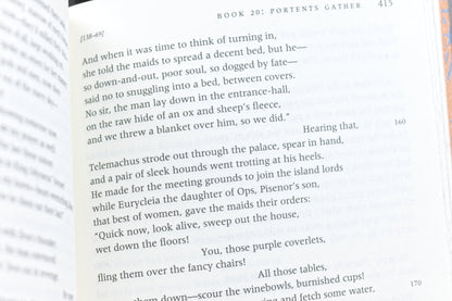 Odyssey / Iliad / Aeneid Box Set