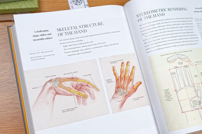 Dynamic Human Anatomy
